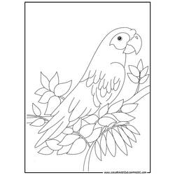 Dibujo para colorear: Ioro (Animales) #16078 - Dibujos para Colorear e Imprimir Gratis