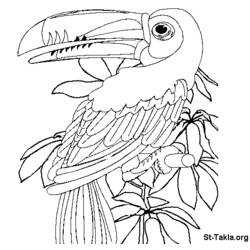 Dibujo para colorear: Ioro (Animales) #16121 - Dibujos para Colorear e Imprimir Gratis