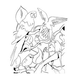 Dibujo para colorear: Ioro (Animales) #16147 - Dibujos para Colorear e Imprimir Gratis