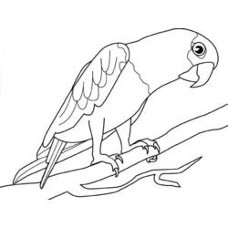 Dibujo para colorear: Ioro (Animales) #16191 - Dibujos para Colorear e Imprimir Gratis