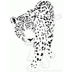 Dibujo para colorear: Jaguar (Animales) #9002 - Dibujos para Colorear e Imprimir Gratis