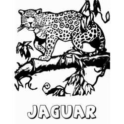Dibujo para colorear: Jaguar (Animales) #9008 - Dibujos para Colorear e Imprimir Gratis