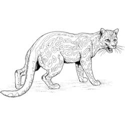 Dibujo para colorear: Jaguar (Animales) #9014 - Dibujos para Colorear e Imprimir Gratis