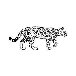 Dibujo para colorear: Jaguar (Animales) #9039 - Dibujos para Colorear e Imprimir Gratis