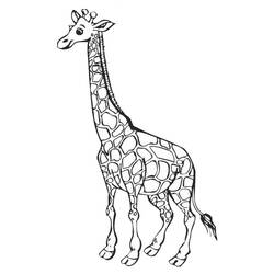 Dibujo para colorear: Jirafa (Animales) #7226 - Dibujos para Colorear e Imprimir Gratis