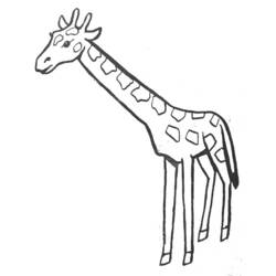 Dibujo para colorear: Jirafa (Animales) #7230 - Dibujos para Colorear e Imprimir Gratis
