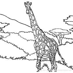 Dibujo para colorear: Jirafa (Animales) #7240 - Dibujos para Colorear e Imprimir Gratis