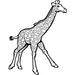 Dibujo para colorear: Jirafa (Animales) #7246 - Dibujos para Colorear e Imprimir Gratis