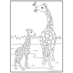 Dibujo para colorear: Jirafa (Animales) #7248 - Dibujos para Colorear e Imprimir Gratis