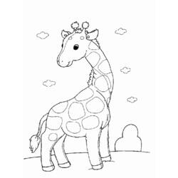 Dibujo para colorear: Jirafa (Animales) #7253 - Dibujos para Colorear e Imprimir Gratis