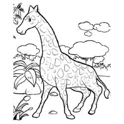 Dibujo para colorear: Jirafa (Animales) #7262 - Dibujos para Colorear e Imprimir Gratis
