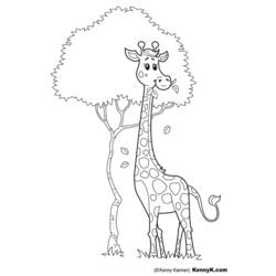 Dibujo para colorear: Jirafa (Animales) #7329 - Dibujos para Colorear e Imprimir Gratis