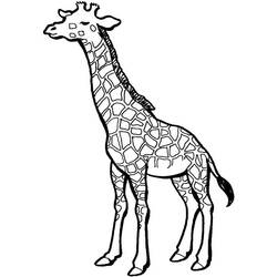 Dibujo para colorear: Jirafa (Animales) #7334 - Dibujos para Colorear e Imprimir Gratis