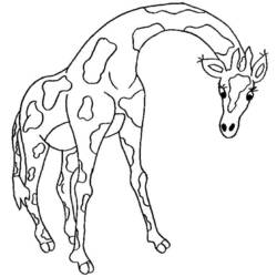 Dibujo para colorear: Jirafa (Animales) #7360 - Dibujos para Colorear e Imprimir Gratis