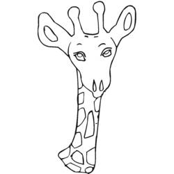 Dibujo para colorear: Jirafa (Animales) #7375 - Dibujos para Colorear e Imprimir Gratis
