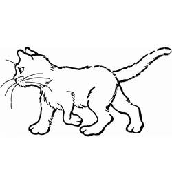 Dibujo para colorear: Kitten (Animales) #18025 - Dibujos para Colorear e Imprimir Gratis