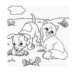 Dibujo para colorear: Kitten (Animales) #18036 - Dibujos para Colorear e Imprimir Gratis