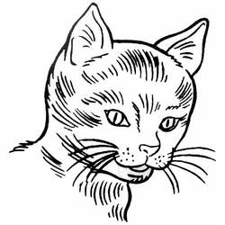 Dibujo para colorear: Kitten (Animales) #18050 - Dibujos para Colorear e Imprimir Gratis