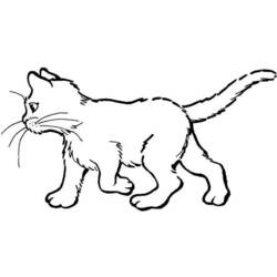 Dibujo para colorear: Kitten (Animales) #18053 - Dibujos para Colorear e Imprimir Gratis