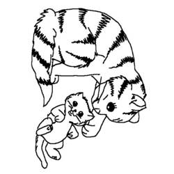Dibujo para colorear: Kitten (Animales) #18065 - Dibujos para Colorear e Imprimir Gratis