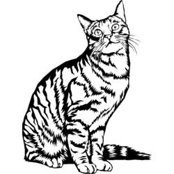 Dibujo para colorear: Kitten (Animales) #18148 - Dibujos para Colorear e Imprimir Gratis