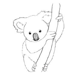 Dibujo para colorear: Koala (Animales) #9305 - Dibujos para Colorear e Imprimir Gratis