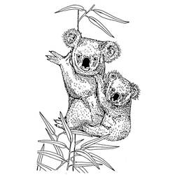 Dibujo para colorear: Koala (Animales) #9327 - Dibujos para Colorear e Imprimir Gratis