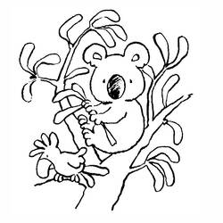 Dibujo para colorear: Koala (Animales) #9328 - Dibujos para Colorear e Imprimir Gratis