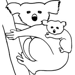 Dibujo para colorear: Koala (Animales) #9334 - Dibujos para Colorear e Imprimir Gratis