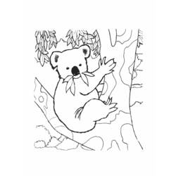 Dibujo para colorear: Koala (Animales) #9337 - Dibujos para Colorear e Imprimir Gratis