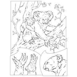 Dibujo para colorear: Koala (Animales) #9339 - Dibujos para Colorear e Imprimir Gratis