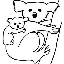 Dibujo para colorear: Koala (Animales) #9369 - Dibujos para Colorear e Imprimir Gratis