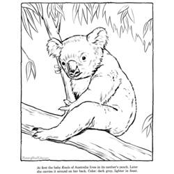 Dibujo para colorear: Koala (Animales) #9388 - Dibujos para Colorear e Imprimir Gratis
