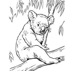 Dibujo para colorear: Koala (Animales) #9405 - Dibujos para Colorear e Imprimir Gratis