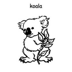 Dibujo para colorear: Koala (Animales) #9420 - Dibujos para Colorear e Imprimir Gratis