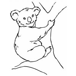 Dibujo para colorear: Koala (Animales) #9462 - Dibujos para Colorear e Imprimir Gratis