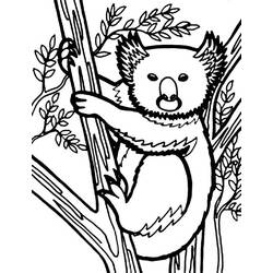 Dibujo para colorear: Koala (Animales) #9467 - Dibujos para Colorear e Imprimir Gratis