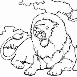 Dibujo para colorear: León (Animales) #10251 - Dibujos para Colorear e Imprimir Gratis