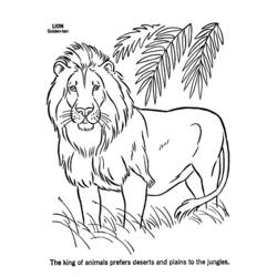 Dibujo para colorear: León (Animales) #10252 - Dibujos para Colorear e Imprimir Gratis