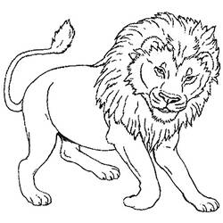 Dibujo para colorear: León (Animales) #10270 - Dibujos para Colorear e Imprimir Gratis