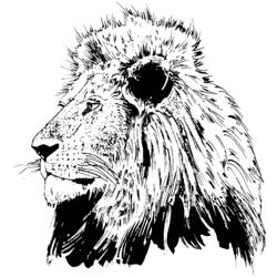 Dibujo para colorear: León (Animales) #10316 - Dibujos para Colorear e Imprimir Gratis