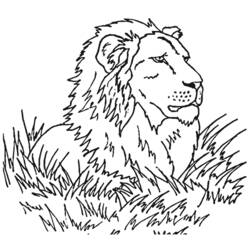 Dibujo para colorear: León (Animales) #10349 - Dibujos para Colorear e Imprimir Gratis