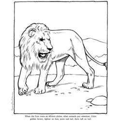Dibujo para colorear: León (Animales) #10399 - Dibujos para Colorear e Imprimir Gratis