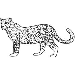 Dibujo para colorear: Leopardo (Animales) #9705 - Dibujos para Colorear e Imprimir Gratis