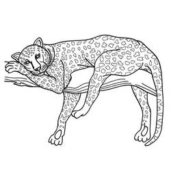 Dibujo para colorear: Leopardo (Animales) #9709 - Dibujos para Colorear e Imprimir Gratis