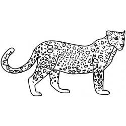 Dibujo para colorear: Leopardo (Animales) #9710 - Dibujos para Colorear e Imprimir Gratis