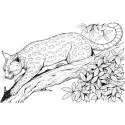 Dibujo para colorear: Leopardo (Animales) #9717 - Dibujos para Colorear e Imprimir Gratis