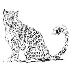 Dibujo para colorear: Leopardo (Animales) #9720 - Dibujos para Colorear e Imprimir Gratis