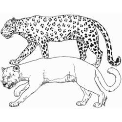 Dibujo para colorear: Leopardo (Animales) #9729 - Dibujos para Colorear e Imprimir Gratis