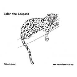 Dibujo para colorear: Leopardo (Animales) #9753 - Dibujos para Colorear e Imprimir Gratis